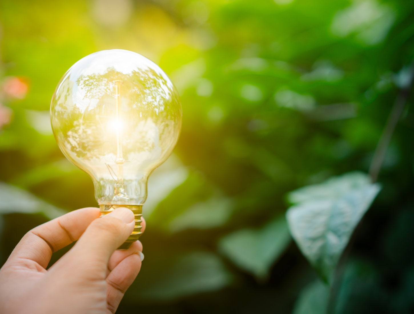 Quelles aides pour la transition énergétique d'une entreprise ?